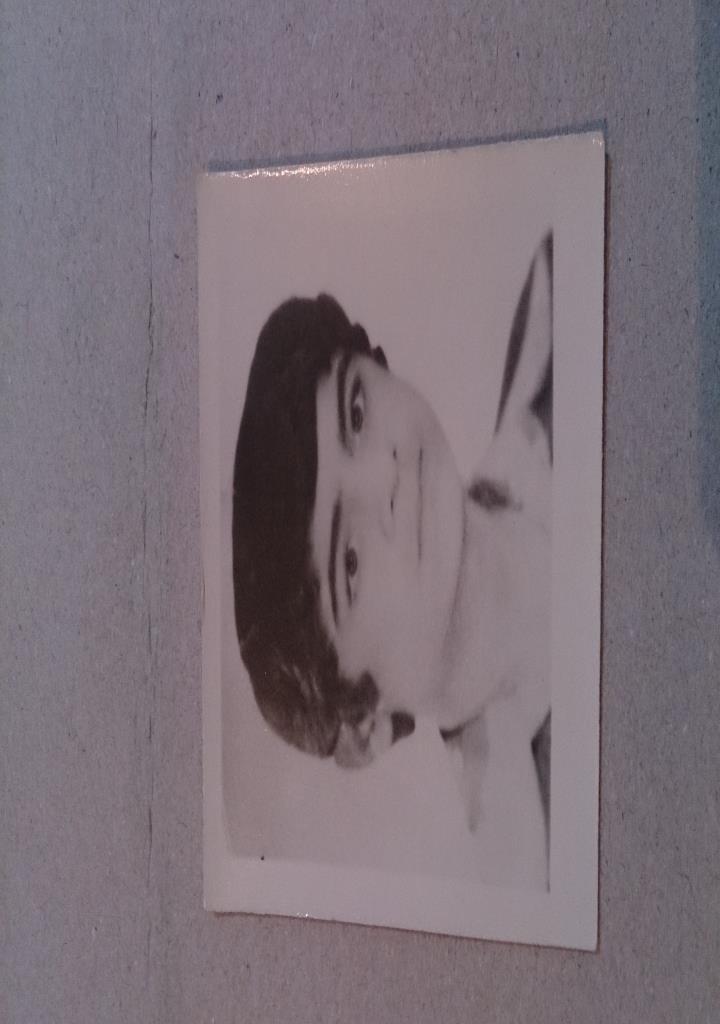 فاقد تصویر
